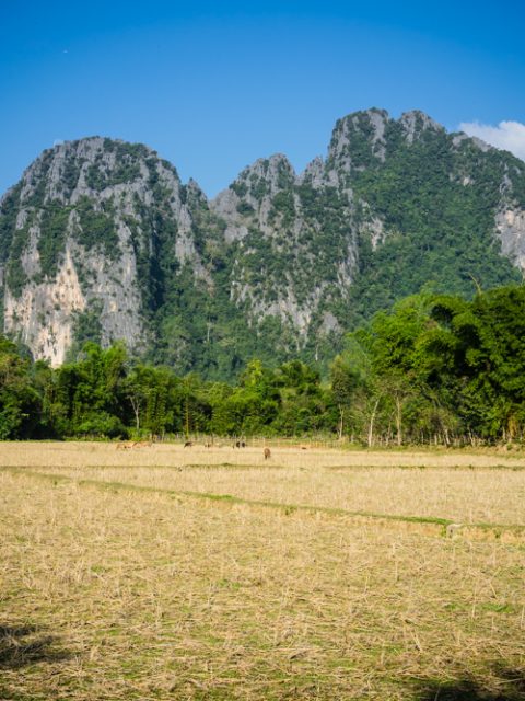 Vang Vieng au Laos